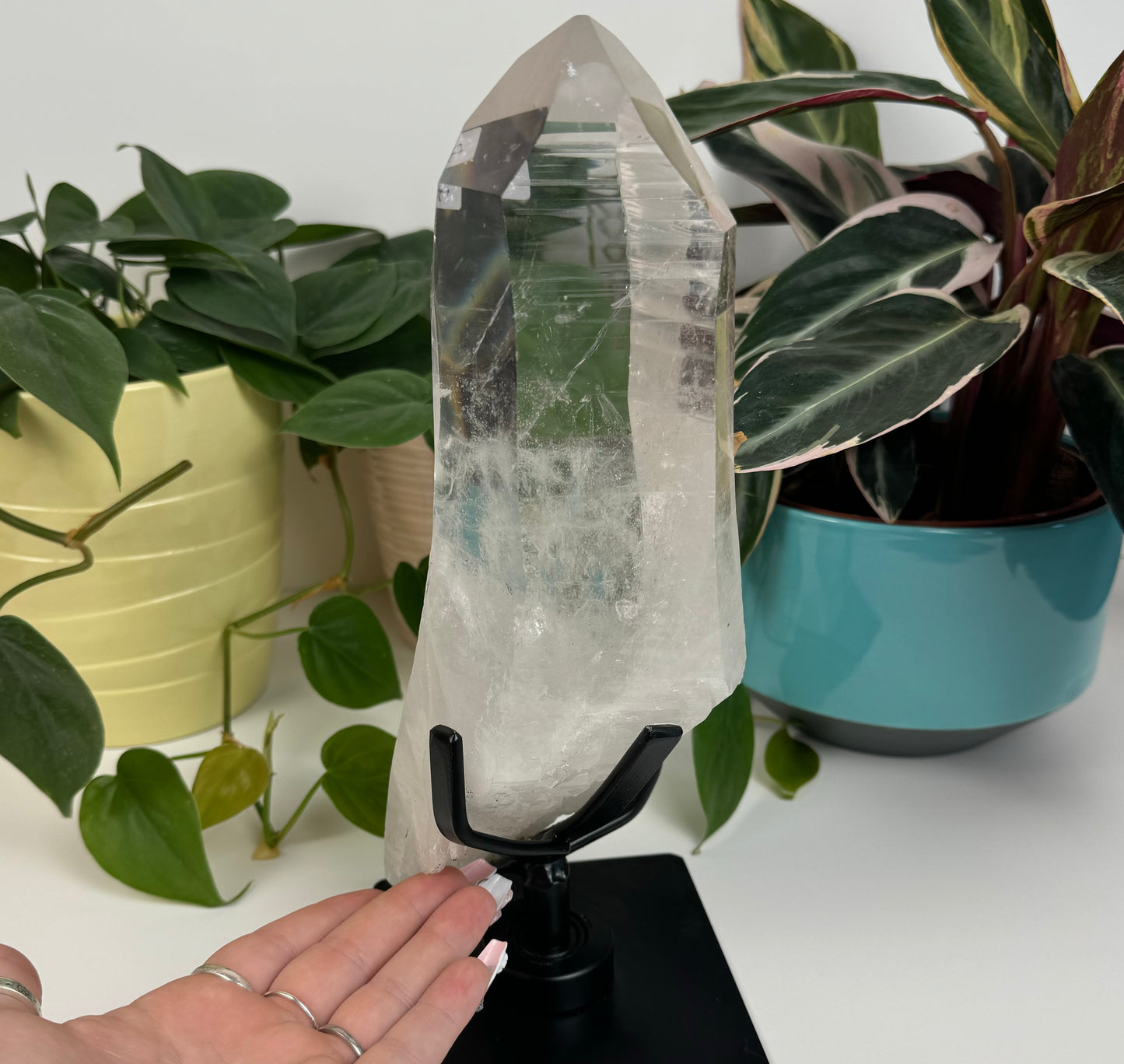 Incredible Lemurian Quartz (W/ Custom Stand) - A