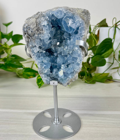 Glacier Blue Celestite Geode (W/ Custom Stand)