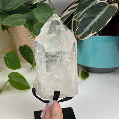 Incredible Lemurian Quartz (W/ Custom Stand) - F