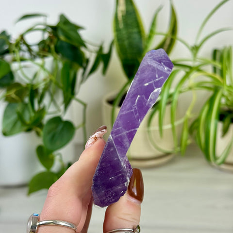Cotton Candy Kunzite