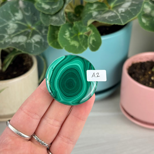 Malachite Cookie - A2