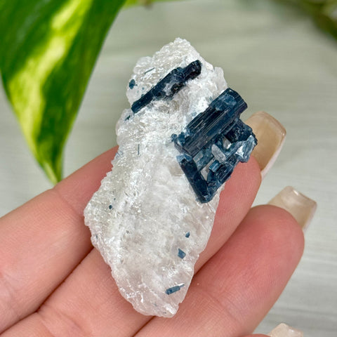 Indicolite Tourmaline Specimen