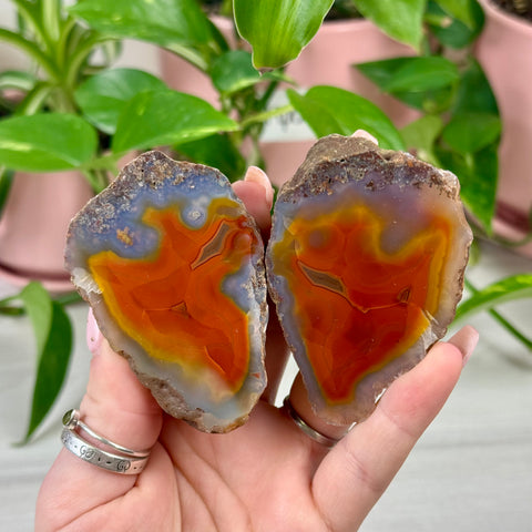 Perfect Malawi Agate Pair