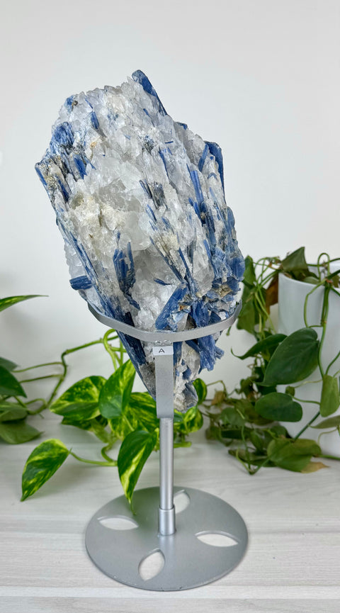 Statement Kyanite Cluster (W/ Custom Stand)