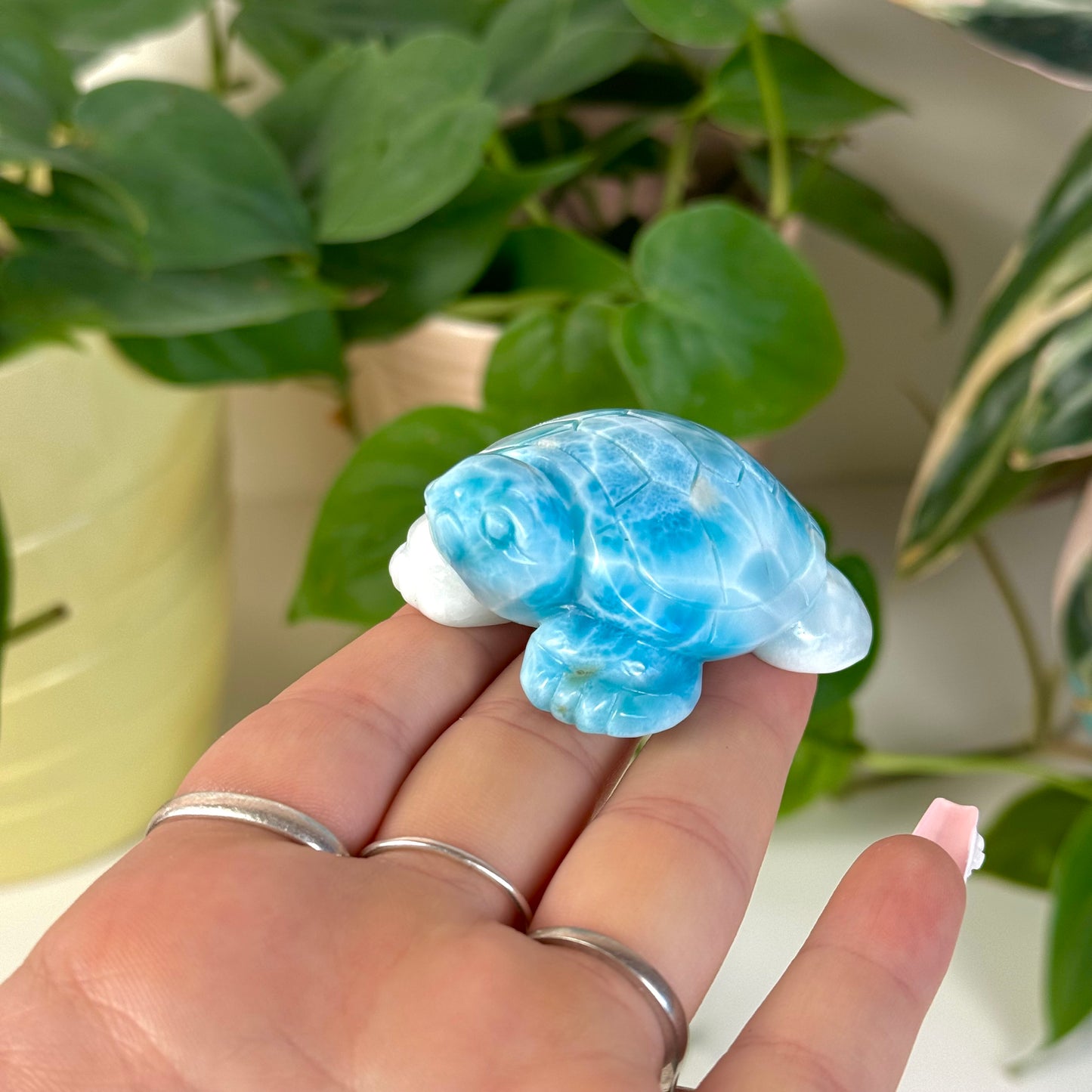 Large Larimar Turtle - A