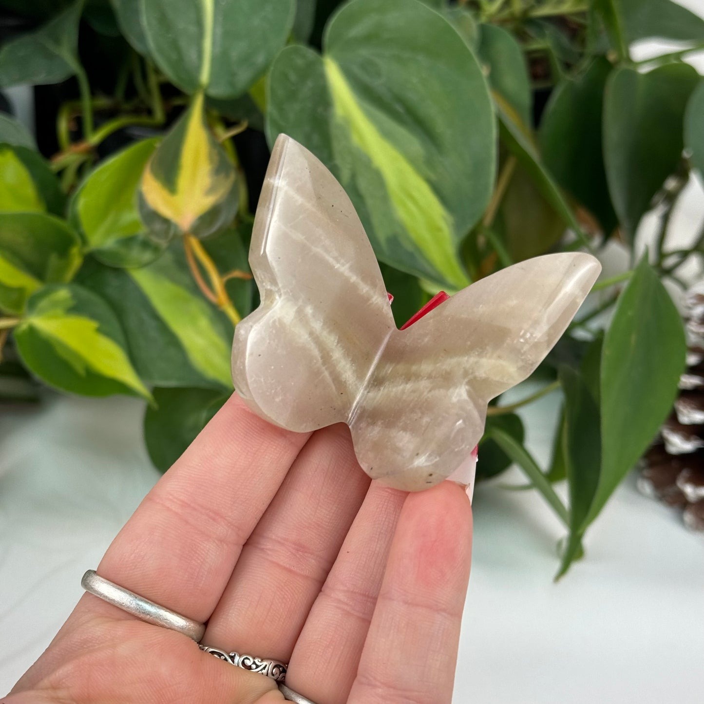 Sunstone In Moonstone 3D Butterfly