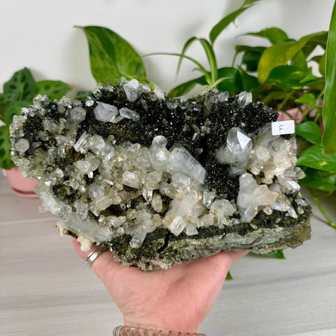 Black Epidote & Chlorite Quartz Specimen (Forest Quartz)