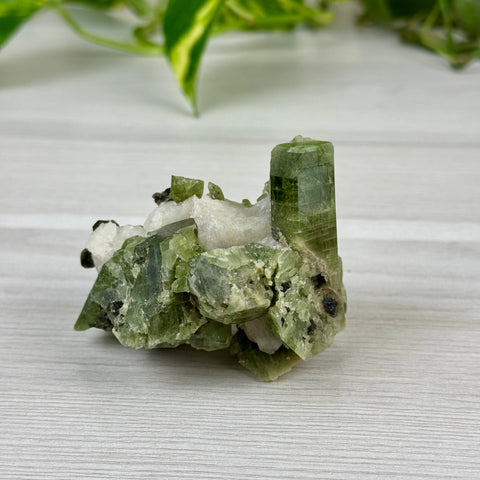 Chrome Diopside On Cookie Dough Specimen