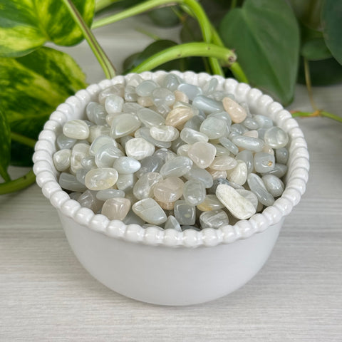 Sage Moonstone Chips (100g)