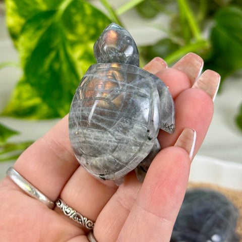 Sunset Labradorite Turtle