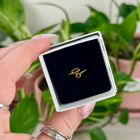 Gold Vermeil Adjustable Zodiac Ring
