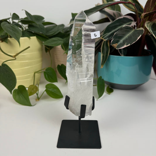 Incredible Lemurian Quartz (W/ Custom Stand) - S