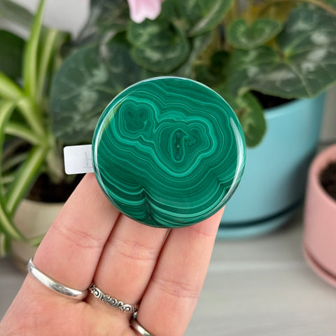 Malachite Cookie - H1