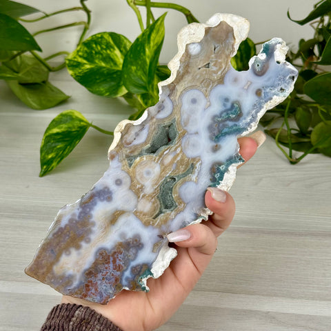 Ocean Jasper Slab
