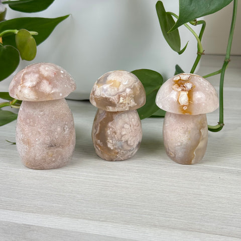 Flower Agate Mushroom