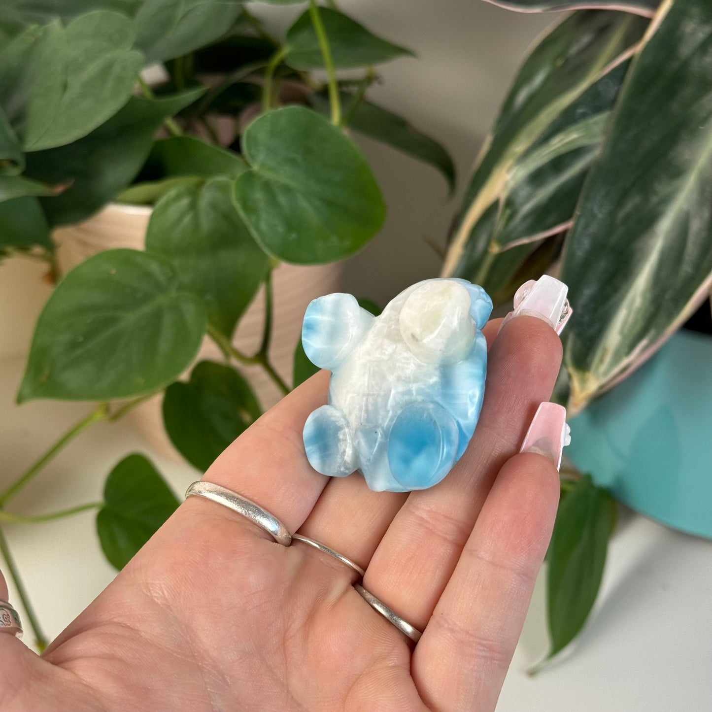 Large Larimar Turtle - J