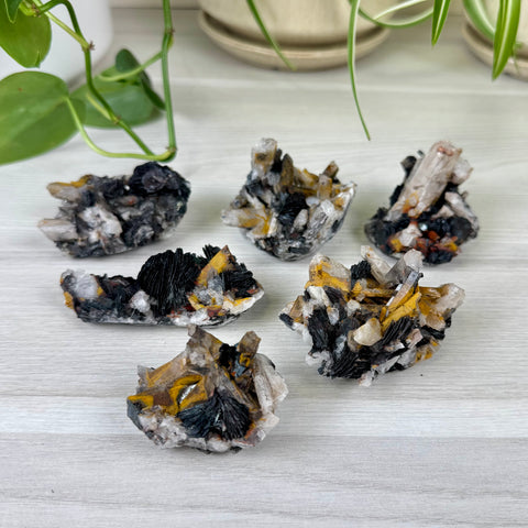 Hematite Roses With Harlequin Quartz Specimen