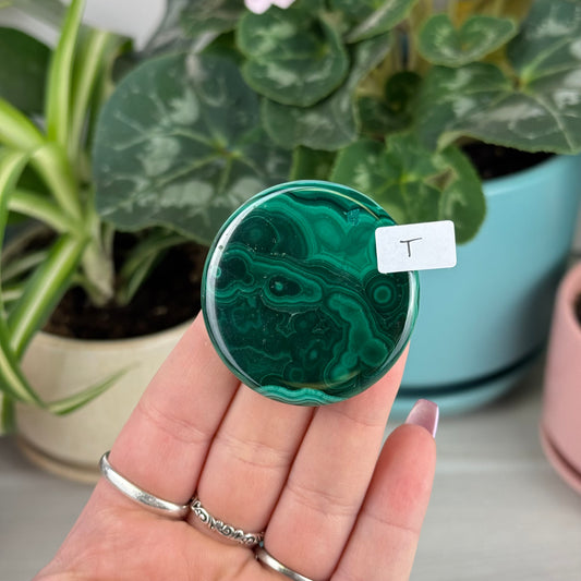 Malachite Cookie - T1