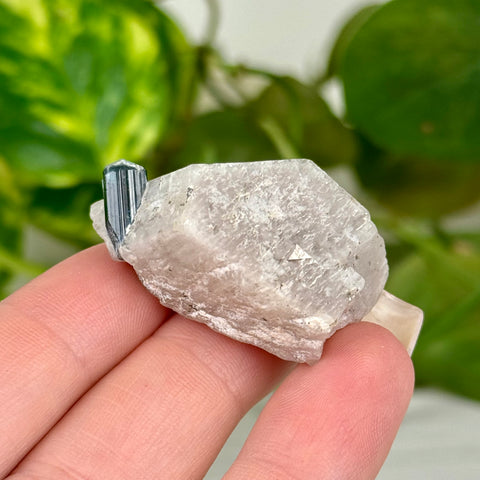 Indicolite Tourmaline Specimen