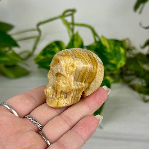 Mini Crazy Lace Agate Skull