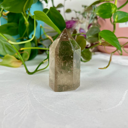 Rutile Point