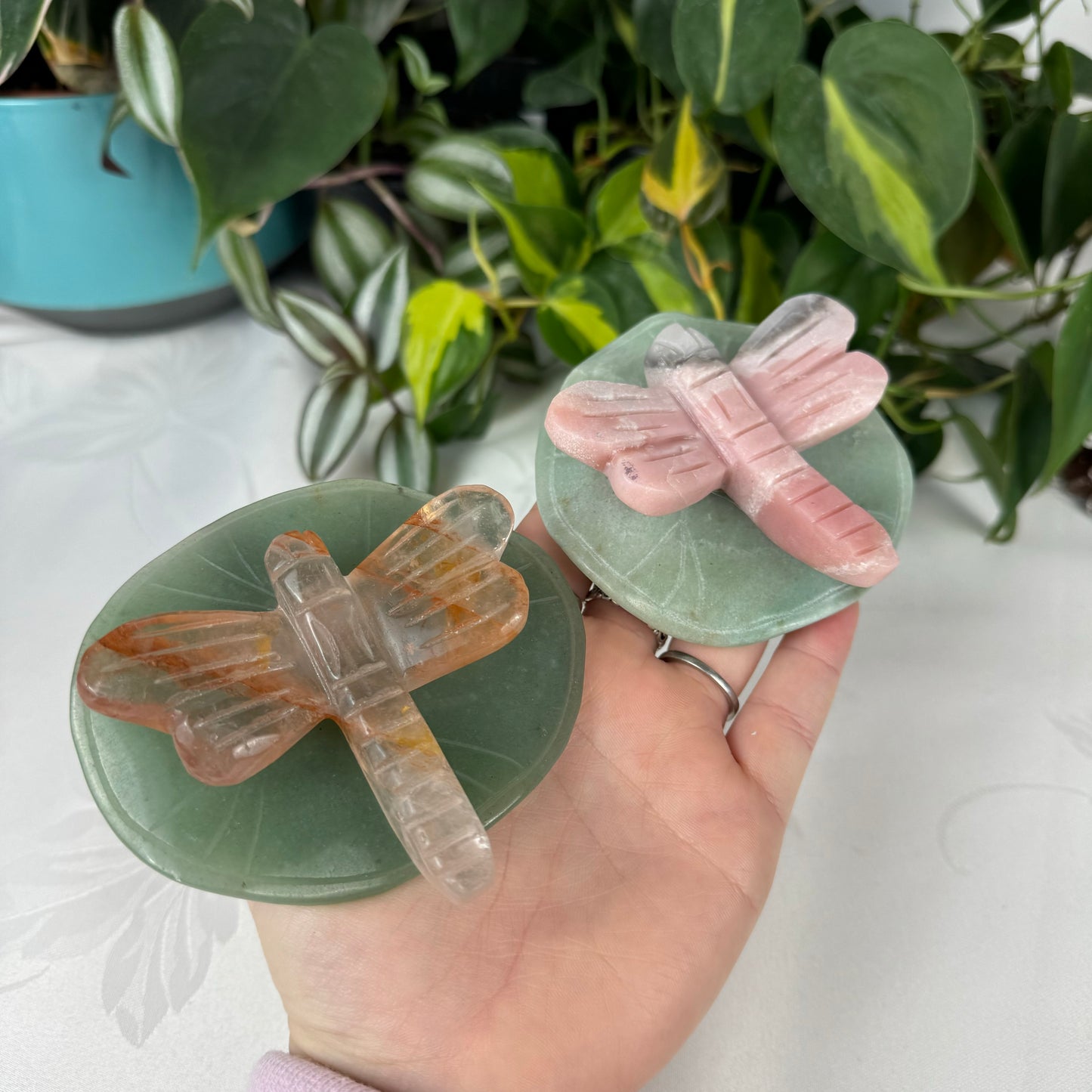 Dragonfly On Lily Pad