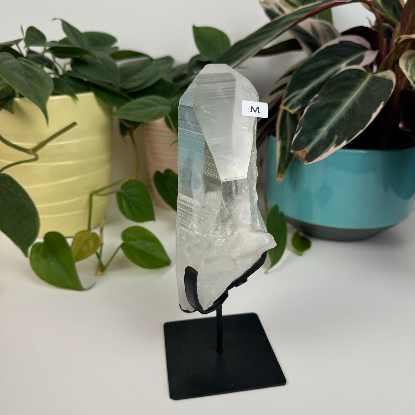 Incredible Lemurian Quartz (W/ Custom Stand) - M