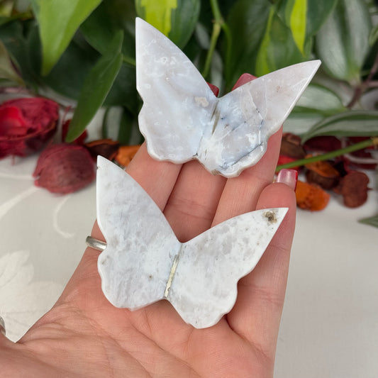 Imperfect Snow Agate Butterfly