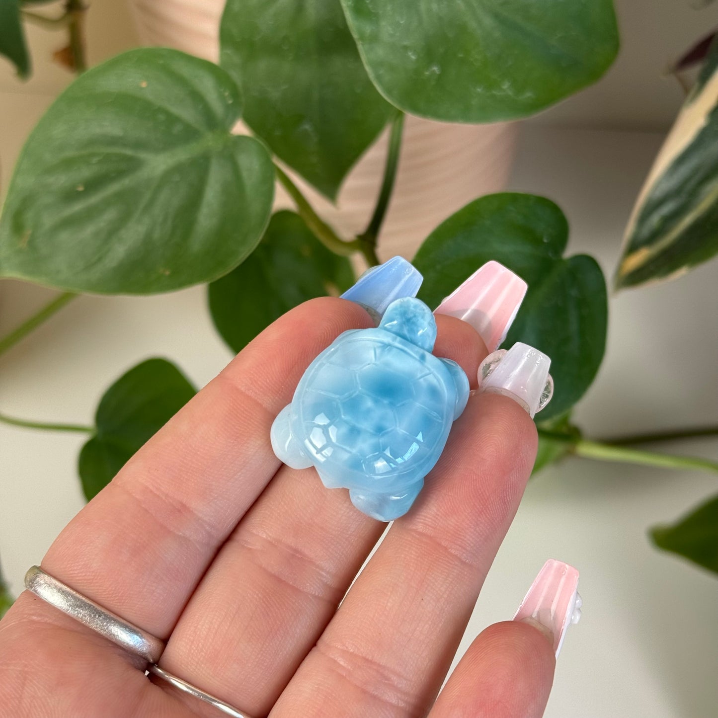 Small Larimar Turtle