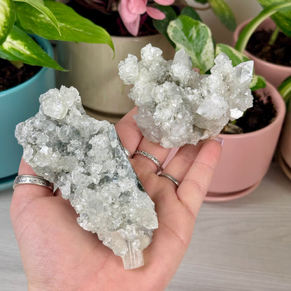 Diamond Apophyllite