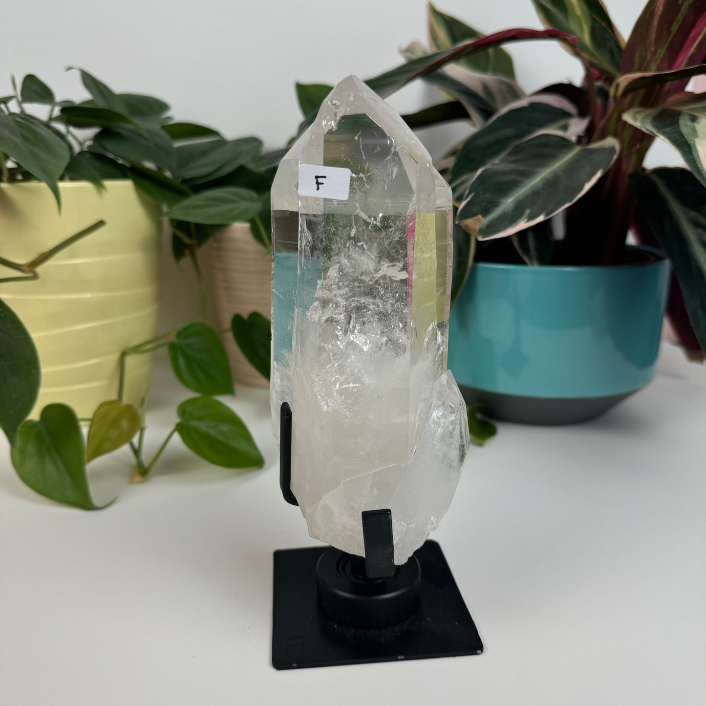 Incredible Lemurian Quartz (W/ Custom Stand) - F