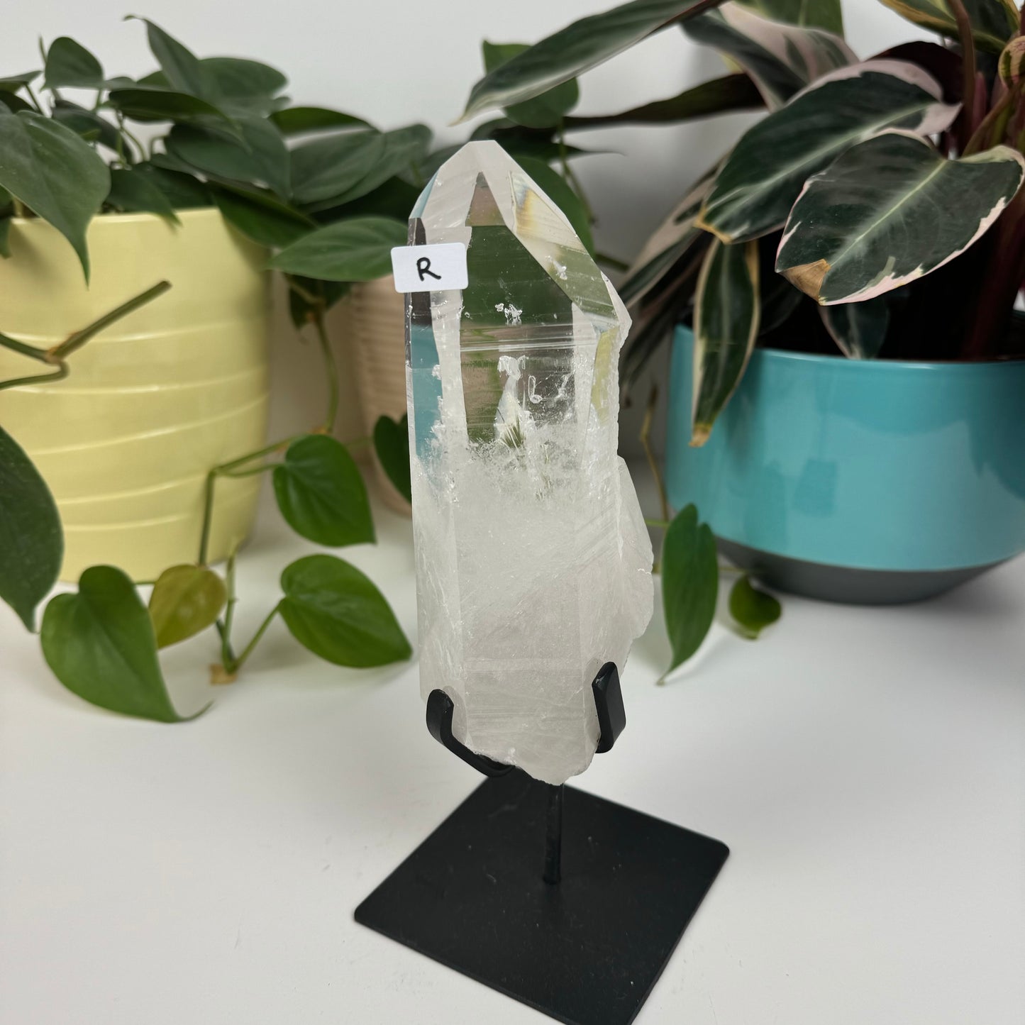 Incredible Lemurian Quartz (W/ Custom Stand) - R