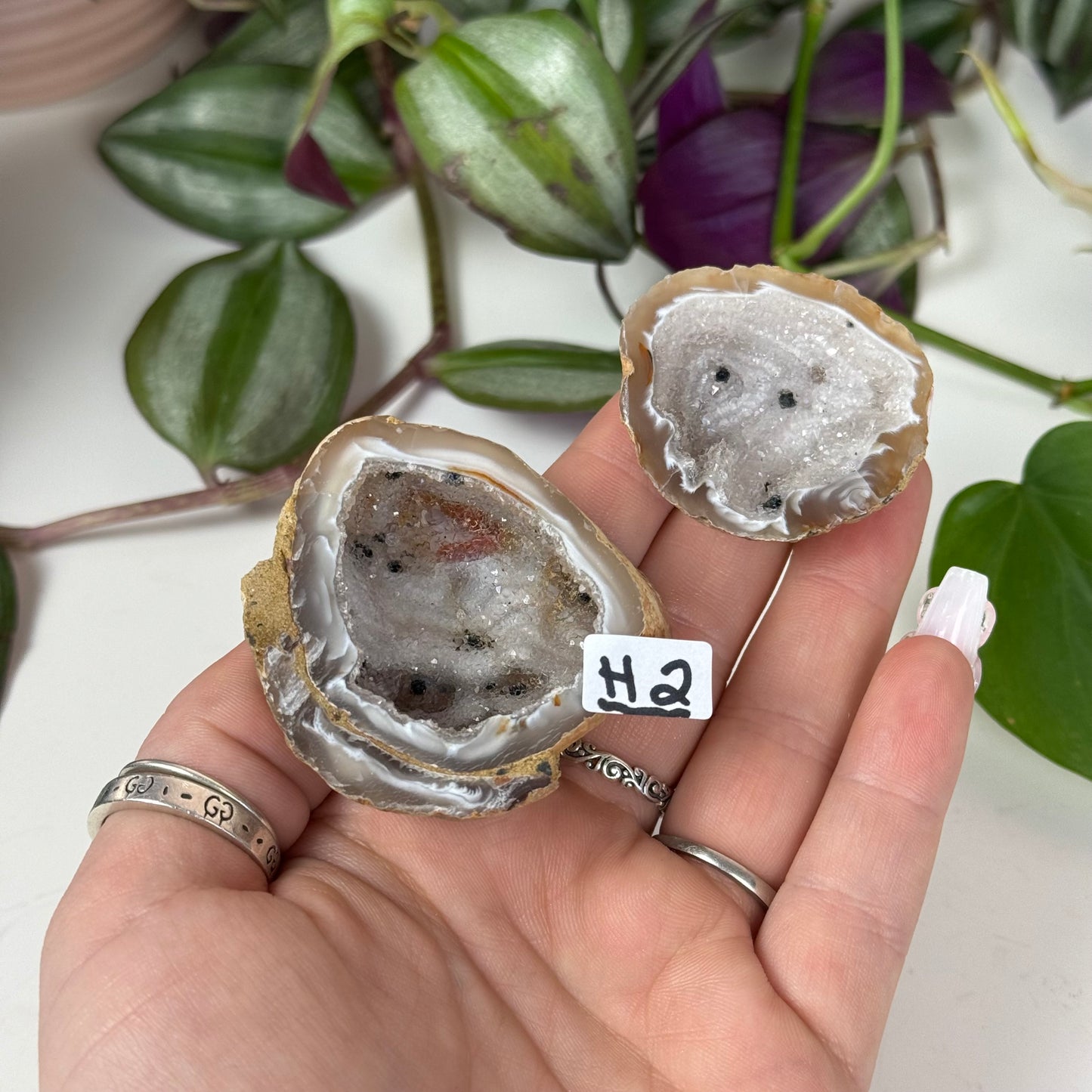 Druzy Agate Geode Pair