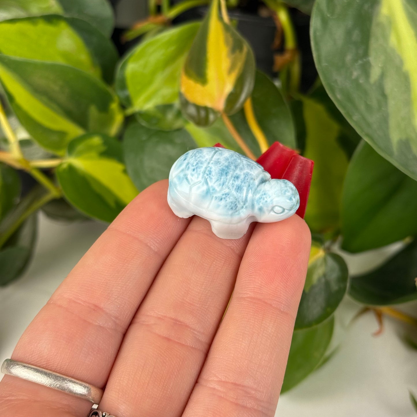 Mini Larimar Turtle