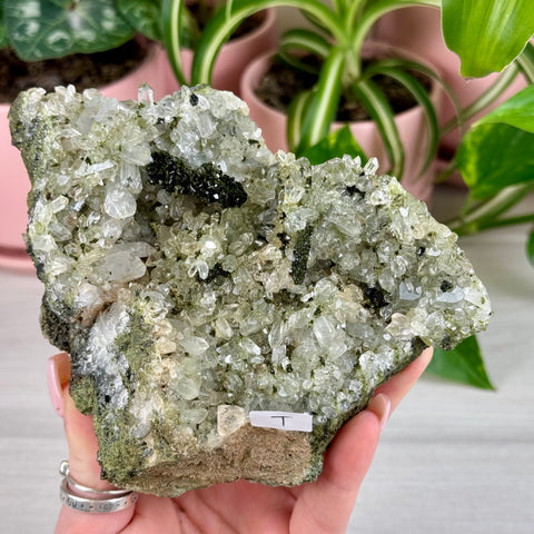 Black Epidote & Chlorite Quartz Specimen (Forest Quartz)