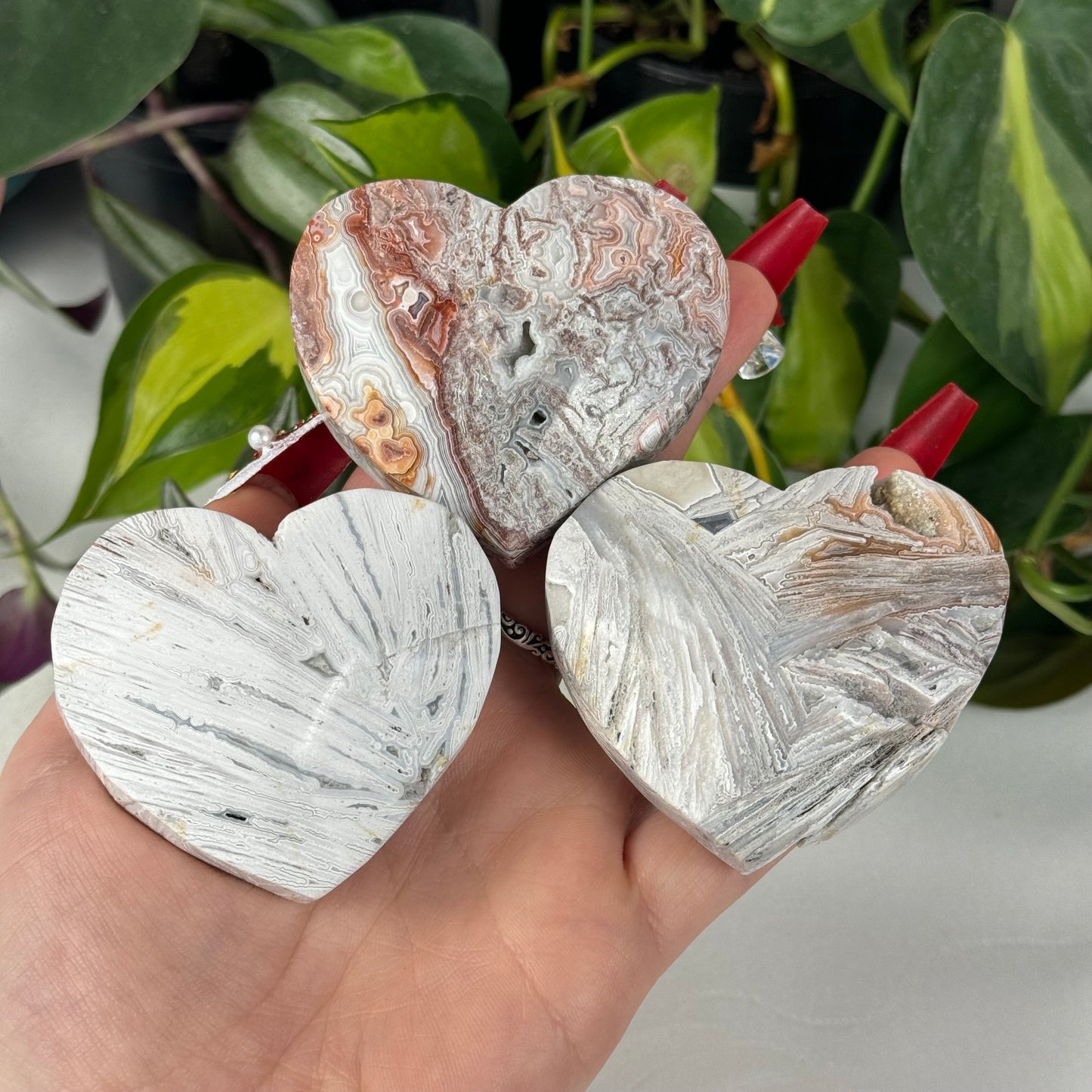 Snowy Crazy Lace Agate Love Heart