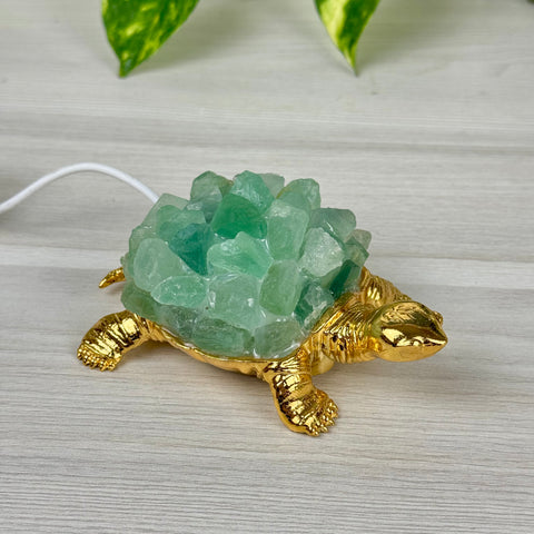 Turtle Lamp - Green Fluorite