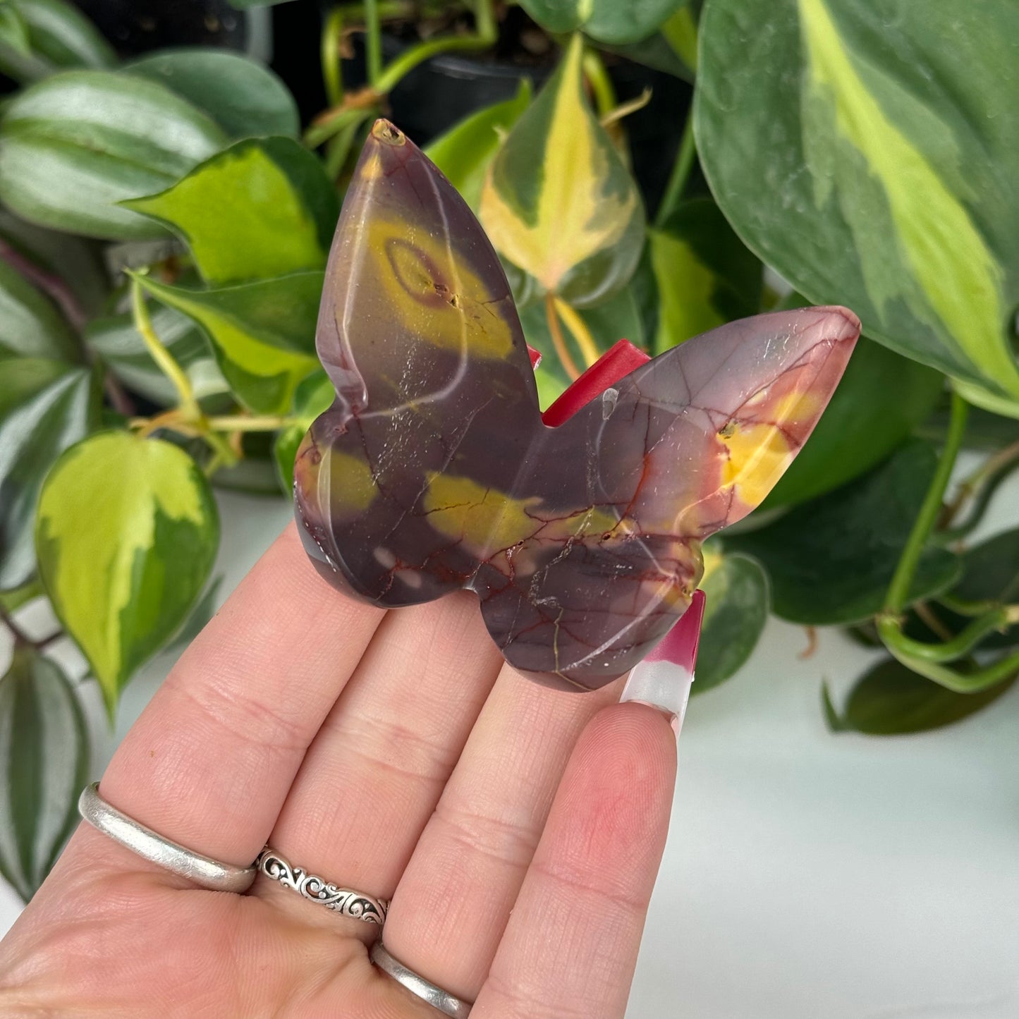 Imperfect Mookaite 3D Butterfly