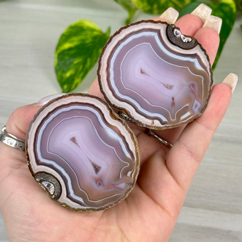 Candy Agate Pairs