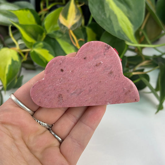 Pink Petrified Wood Cloud