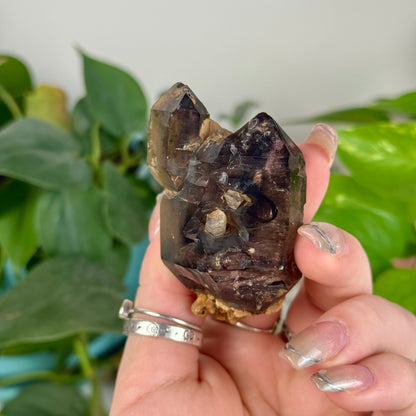 Enhydro Shangaan Amethyst