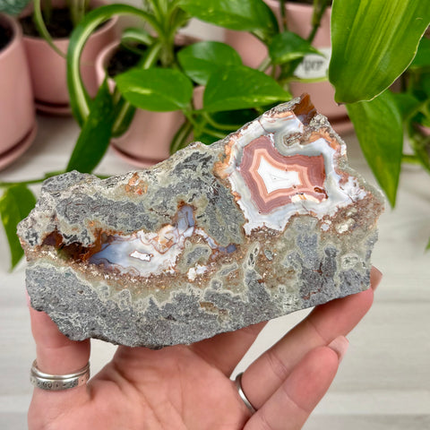 Indi German Agate