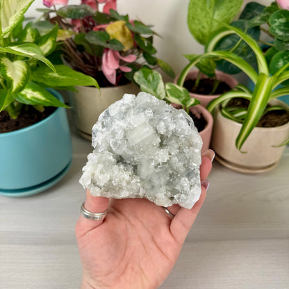 Diamond Apophyllite