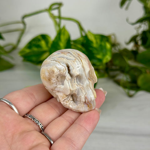 Mini Crazy Lace Agate Skull
