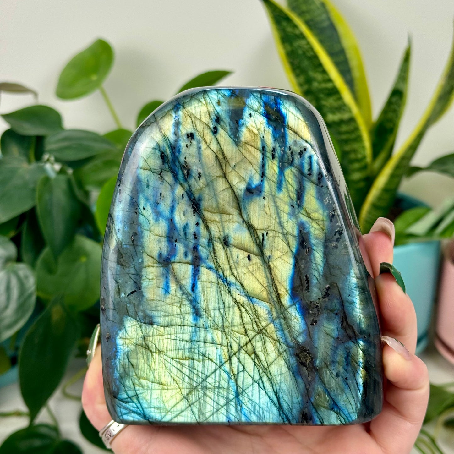 Green/Blue Labradorite Free Form