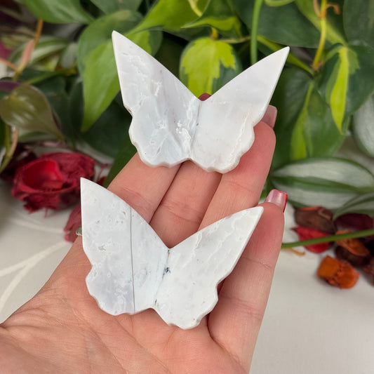 Snow Agate Butterfly