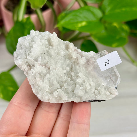 Sparkling White Chalcedony With Apophyllite