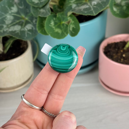 Malachite Cookie - V2