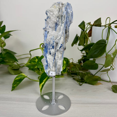 Statement Kyanite Cluster (W/ Custom Stand)