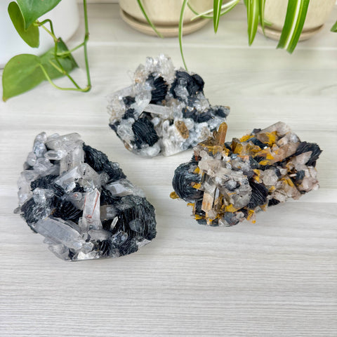 Hematite Roses With Harlequin Quartz Specimen